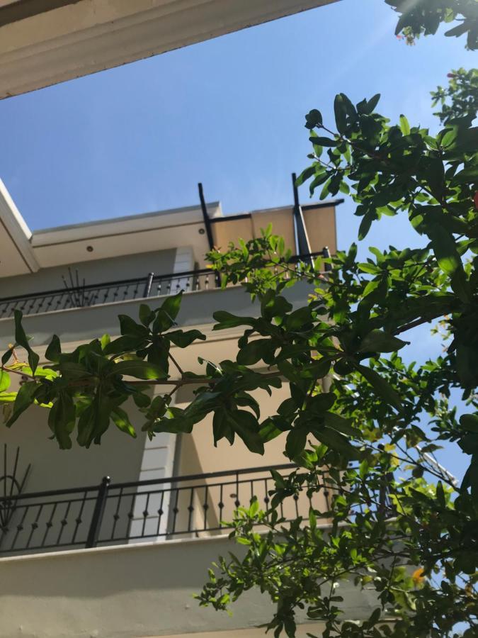 Villa Dorita Luxury Apartments 帕尔加 外观 照片