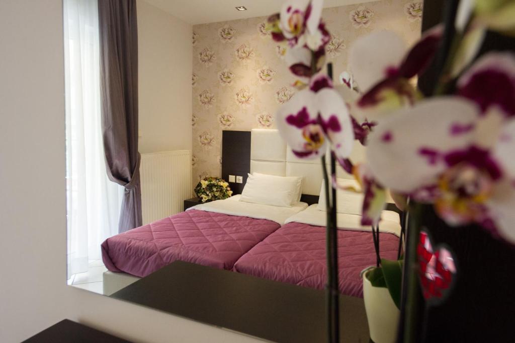 Villa Dorita Luxury Apartments 帕尔加 客房 照片