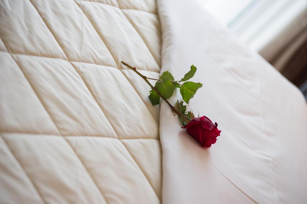 Villa Dorita Luxury Apartments 帕尔加 外观 照片