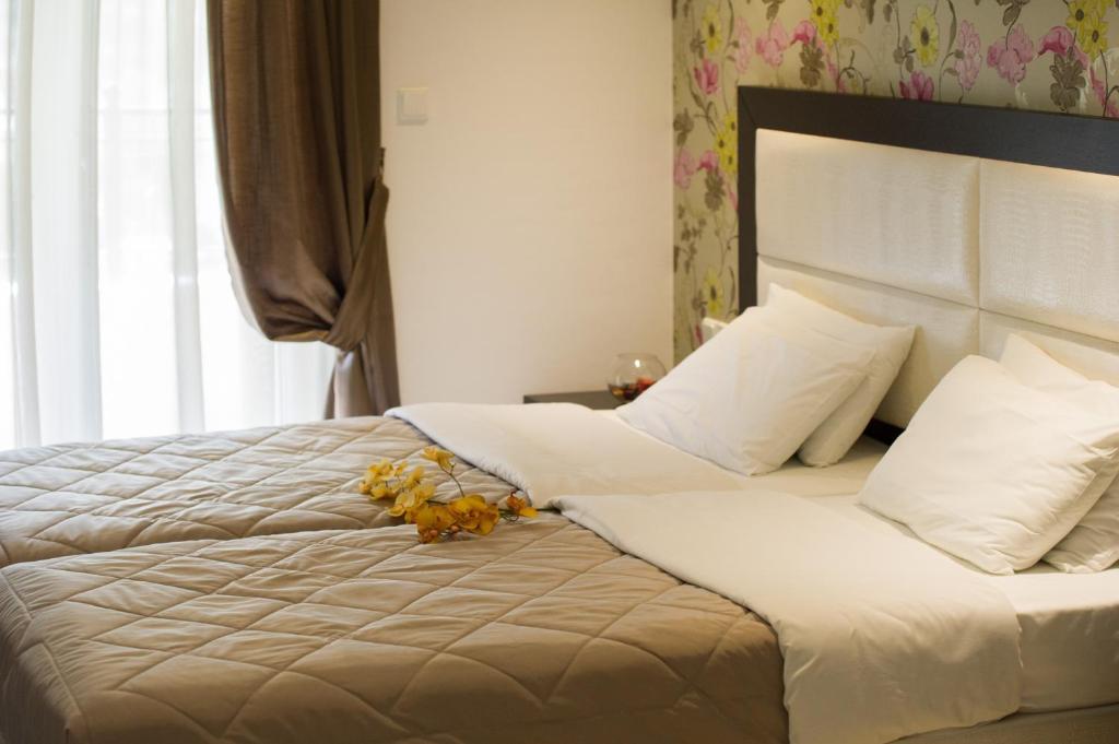 Villa Dorita Luxury Apartments 帕尔加 外观 照片